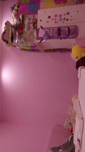 транслЯция из лайка