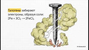 Химия 9 класс § 11 ОБЩАЯ ХАРАКТЕРИСТИКА ЭЛЕМЕНТОВ VIIA-ГРУППЫ — ГАЛОГЕНОВ