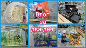 Похолодало... Мой завтрак. По делам в городе. Домострой