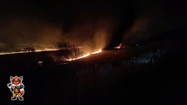 Ландшафтный пожар у села Волково 10.05.2026 год.