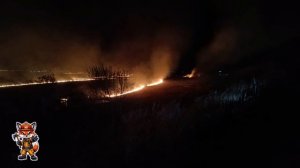 Ландшафтный пожар у села Волково 10.05.2026 год.