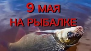 Рыбалка в мае. 9 МАЯ ловим в Ростовской области х.Краснодворск