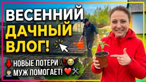 СРОЧНО ПОЕХАЛИ НА ДАЧУ/ОБЗОР ДАЧНОГО УЧАСТКА/ЧТО ВЫРОСЛО, А ЧТО ПОГИБЛО/МУЖ ПОМОГАЕТ МНЕ НА ДАЧЕ