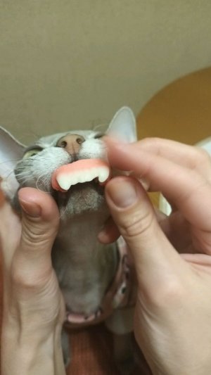 я вернулась 2 часть