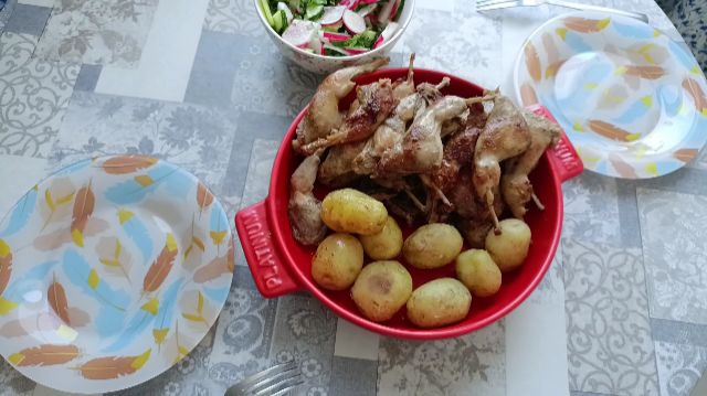 Лягушечьи лапки приготовили) Дела садово-огородно-хозяйственые.