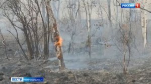 Еще 10 миллионов рублей на борьбу с пожарами выделяют в ЕАО