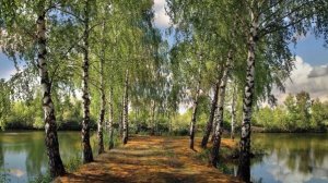 В котле жаркого лета