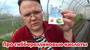 Когда нужны гиббереллиновые кислоты для растений