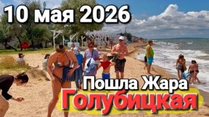 Жара на Азовском море 10.05.2026 Пляжи забиты, народ купается Погуляем в прямом эфире #Голубицкая