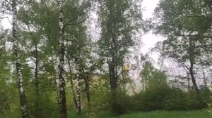 ПЕРЕДАЮ🙋 АРОМАТ ☺️ ЧЕРЁМУХИ ДУШИСТЫЙ 💯☀️☀️☀️