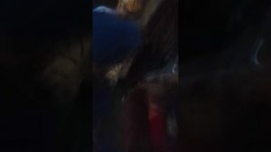 1000004857.mp4