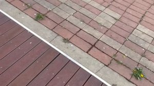 Рандомная неделя в корке