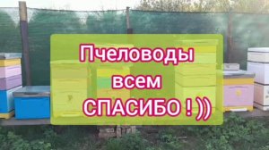 Пчеловодам всем спасибо!