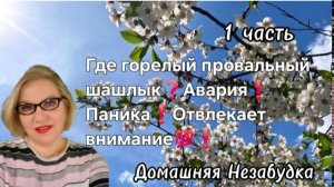 1 часть. Где горелый провальный шашлык❓️Авария❗️Паника❗️Отвлекает внимание💯❗️