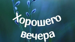 Вечернее видео.