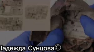 Ботинок Амоса Штайнберга: автор стихов и музыки - Надежда Сунцова©️ Пронзительные стихи о войне 9мая