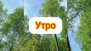 Утренняя прогулка (09.05.2026)
