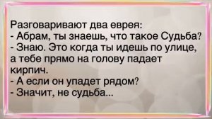 🤣Как_Изя_Развёлся_Со_Своей_Женой!_Сборник_Новых_Смешных_Анекдотов!