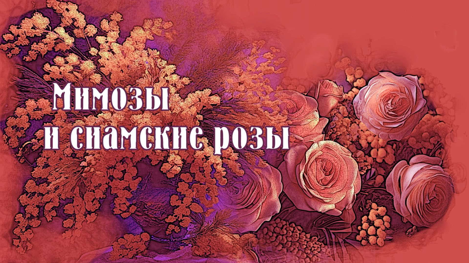 Мимозы и сиамские розы