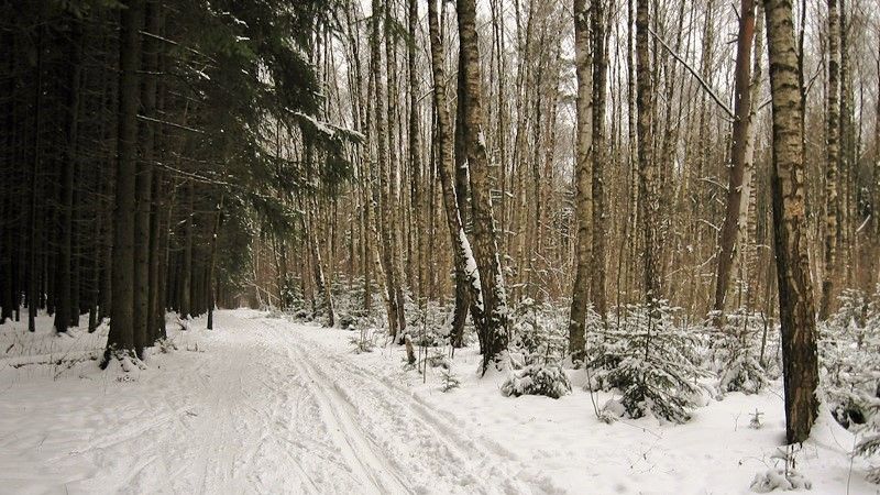 Зимняя прогулка, там где можно насладиться тишиной 14.01.2012