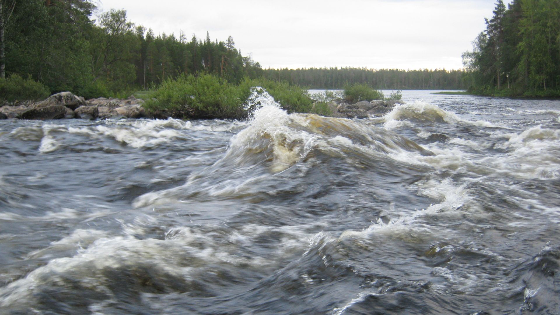 Водный поход 3 к.с., р. Писта (Республика Карелия), 2025