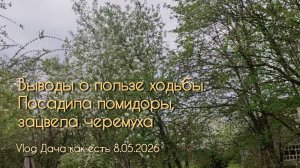 Откровение о пользе ходьбы, а ещё посадила помидоры / vlog Дача как есть 8.05.2026