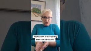 Узбекских пчел-убийц завезли в Россию