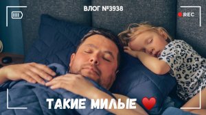 Какие они милые! | Замамкали меня | В ожидании завтрашнего дня - ВЛОГ №3938 - 09.05.26