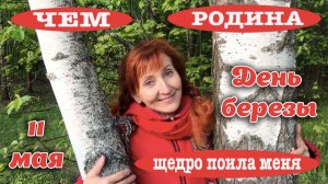 11 мая День березы и Березового сока
