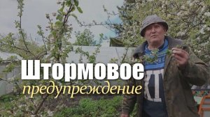 Мощный циклон и ураганный ветер #михалычдачник