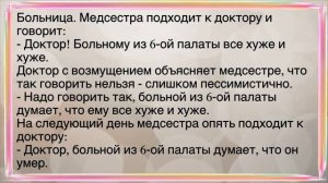 🤣Как_Васька_Ночевал_У_Студентки!_Сборник_Свежих_Смешных_Анекдотов!