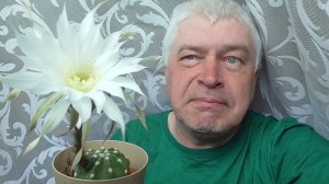 Сегодня 10 мая 2026 год. Цветок на кактусе. Геннадий Горин