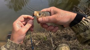 Реальное открытие летнего сезона ! Вот это я понимаю - рыбалка !!!
