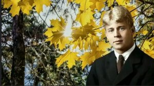 Руки милой пара лебедей - Алексей Верный