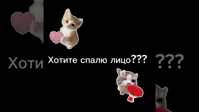 🤩 смотреть онлайн