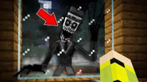 Я ВИЖУ ЕГО СИЛУЭТ В МАЙНКРАФТ... THE SILHOUETTE MINECRAFT