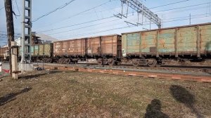 Грузовой поезд проезжает через переезд