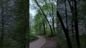 1000338742.mp49 мая.