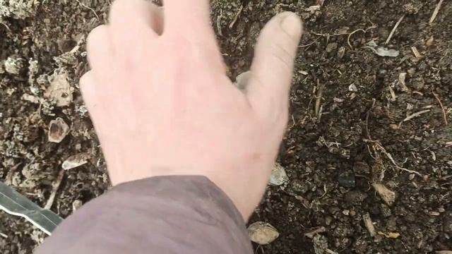 17 марта 2024г.Мой дом.Занимаюсь огородом.