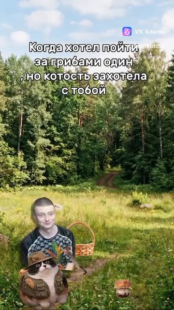 Когда захотел пойти за грибами один но котость захотела с тобой