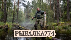 ЛАЖУ СО СПИННИНГОМ ПО БОЛОТАМ, ЛЕСАМ, ЗАКОРЯЖНИКАМ В ПОИСКЕ ЩУК