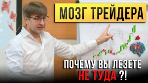 МОЗГ ТРЕЙДЕРА. Почему Вы лезете НЕ ТУДА?!