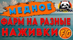 ТРИ ТОЧКИ на МЕДНОМ. ФАРМ СЕРЕБРА на Медном озере. Русская рыбалка 4. рр4. Russian Fishing 4