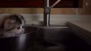 Авв) когда увидела сразу помчалась выложить))^^