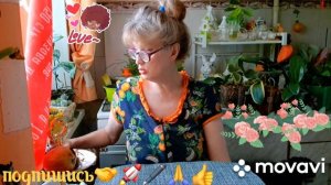 🖋️🚀СИЖУ КАК НА ВУЛКАНЕ,🔥♥️ МОИ БУДНИ 🚀🖋️