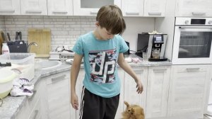 День труда дома: уборка, готовка и вкусный завтрак  для всей семьи. Из города деревню перезгрузка