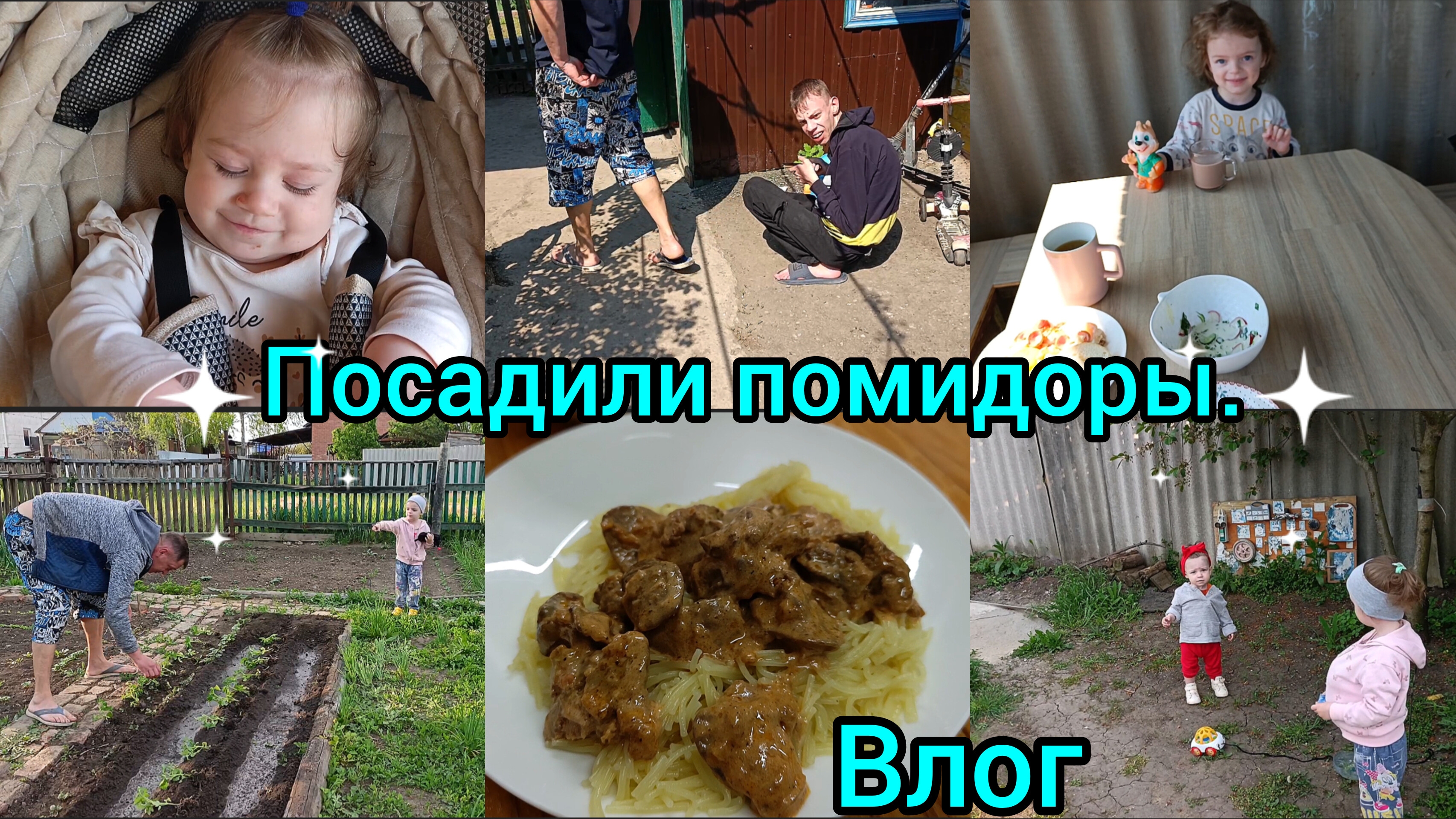 Влог. Посадили помидоры. Покупки.