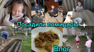 Влог. Посадили помидоры. Покупки.
