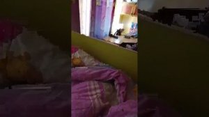 Любава ПЛЕЙ