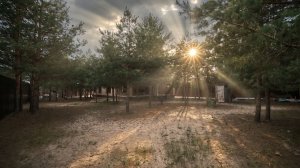 Вилланд 10.05.26